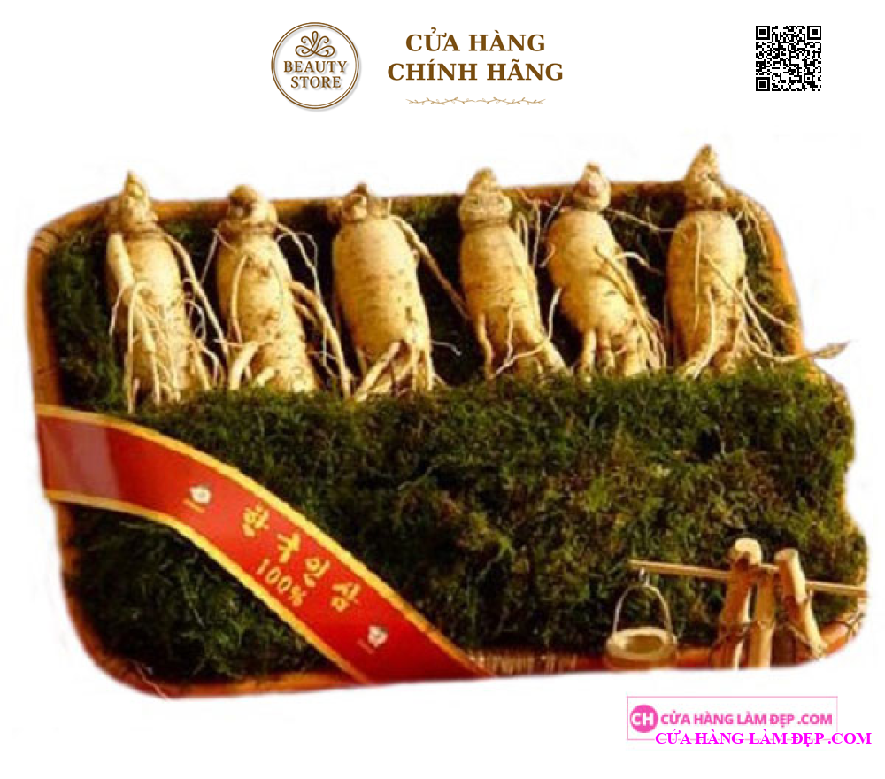 Nhân Sâm Tươi Hàn Quốc 6 củ/kg
