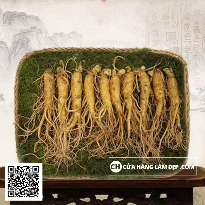 Nhân Sâm Tươi Hàn Quốc (1kg)