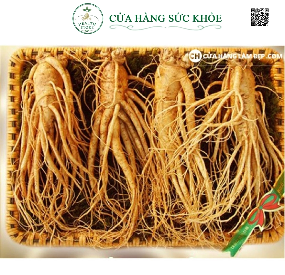 Nhân Sâm Tươi Hàn Quốc (1kg)