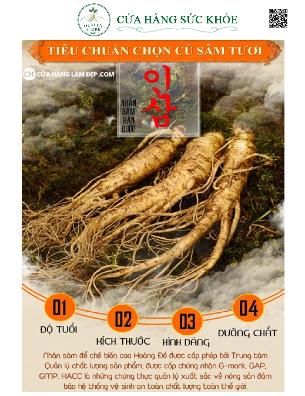 Nhân Sâm Tươi Hàn Quốc (1kg)