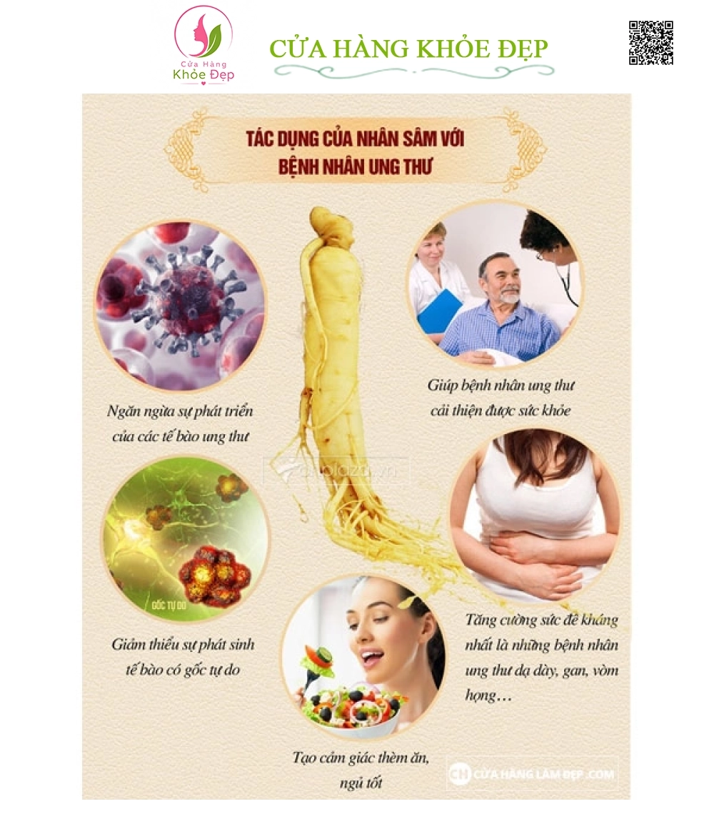 Nhân Sâm Tươi Hàn Quốc 6 củ/kg