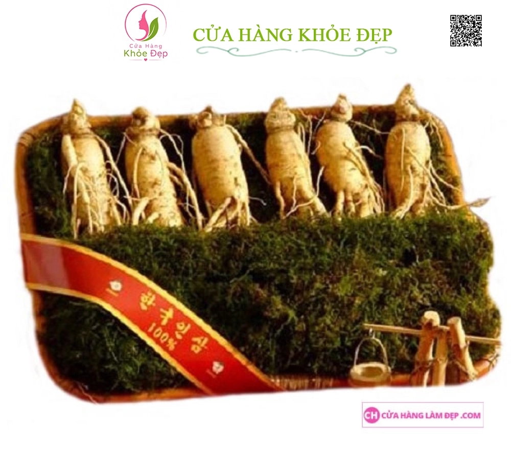 Nhân Sâm Tươi Hàn Quốc 6 củ/kg