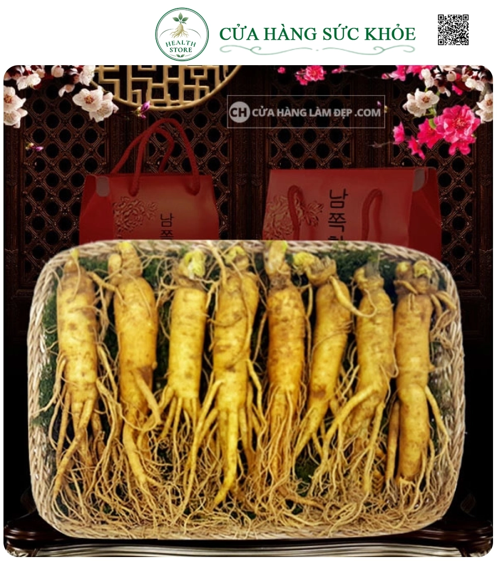 Nhân Sâm Tươi Hàn Quốc 8 củ/kg