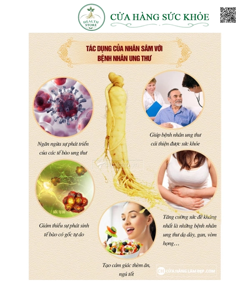 Nhân Sâm Tươi Hàn Quốc 8 củ/kg