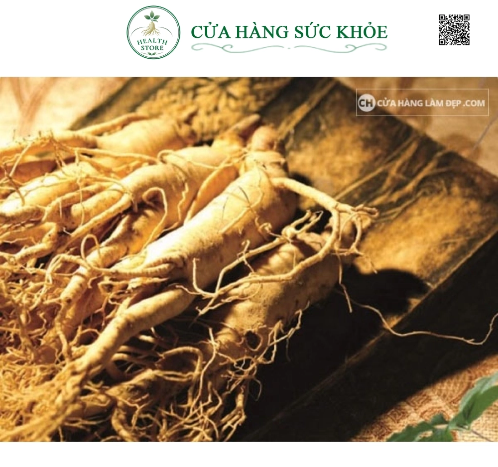 Nhân Sâm Tươi Hàn Quốc 8 củ/kg
