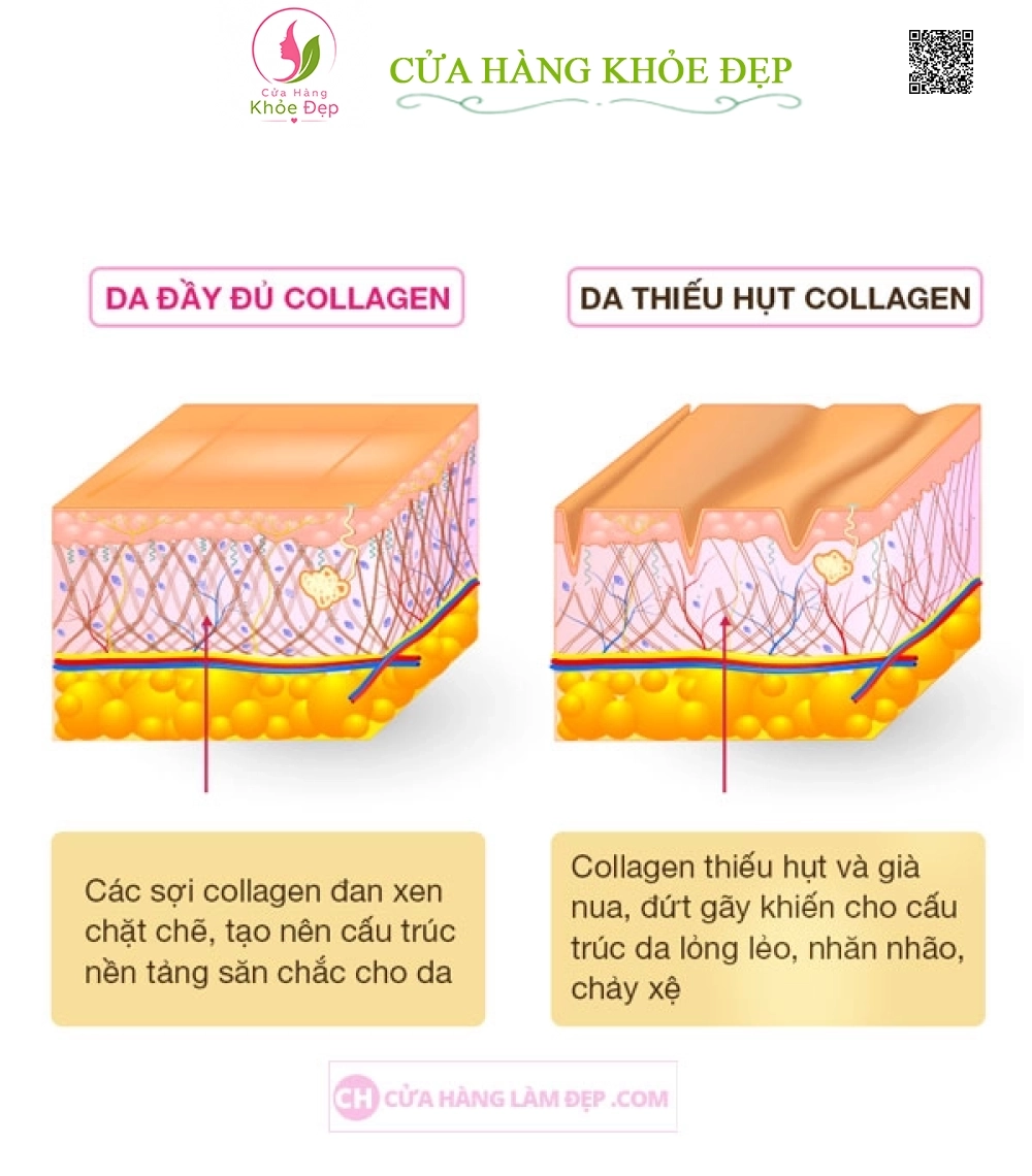 Kem Xoá Mờ Nếp Nhăn, Bổ Sung Collagen Thalgo Collagen Cream