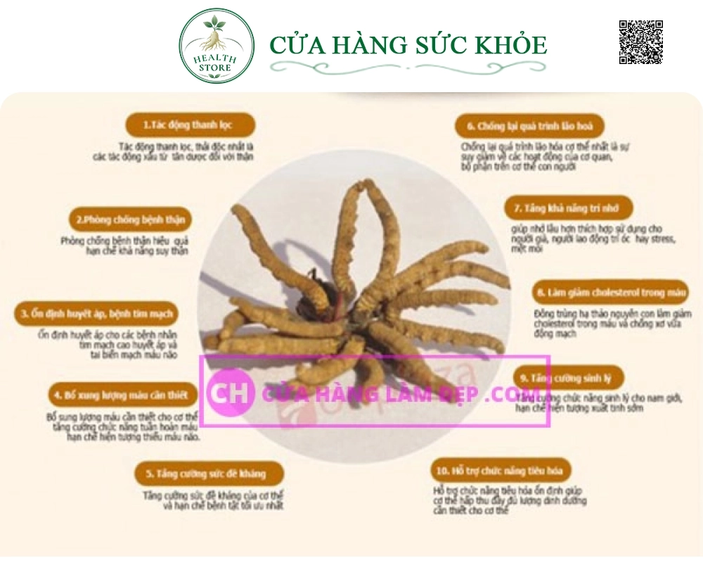Viên Đông Trùng Hạ Thảo Tohchukasou Royal Gold Nhật Bản