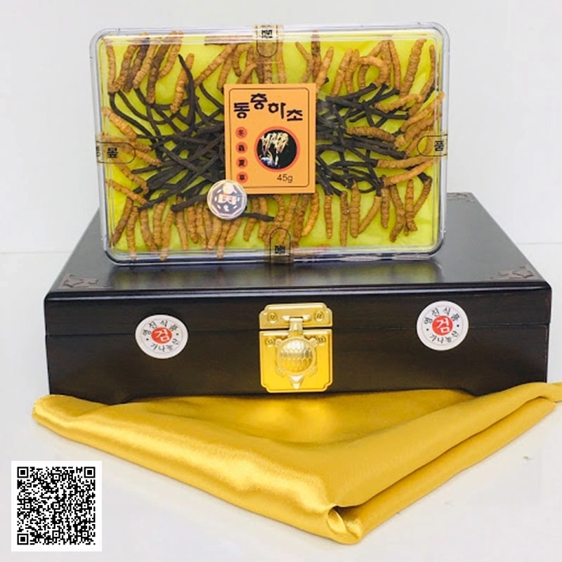 Đông Trùng Hạ Thảo Nguyên Con Cordyceps Militaris Dong Chung Ha Cho Gold 45g 40-45 Con Hàn Quốc
