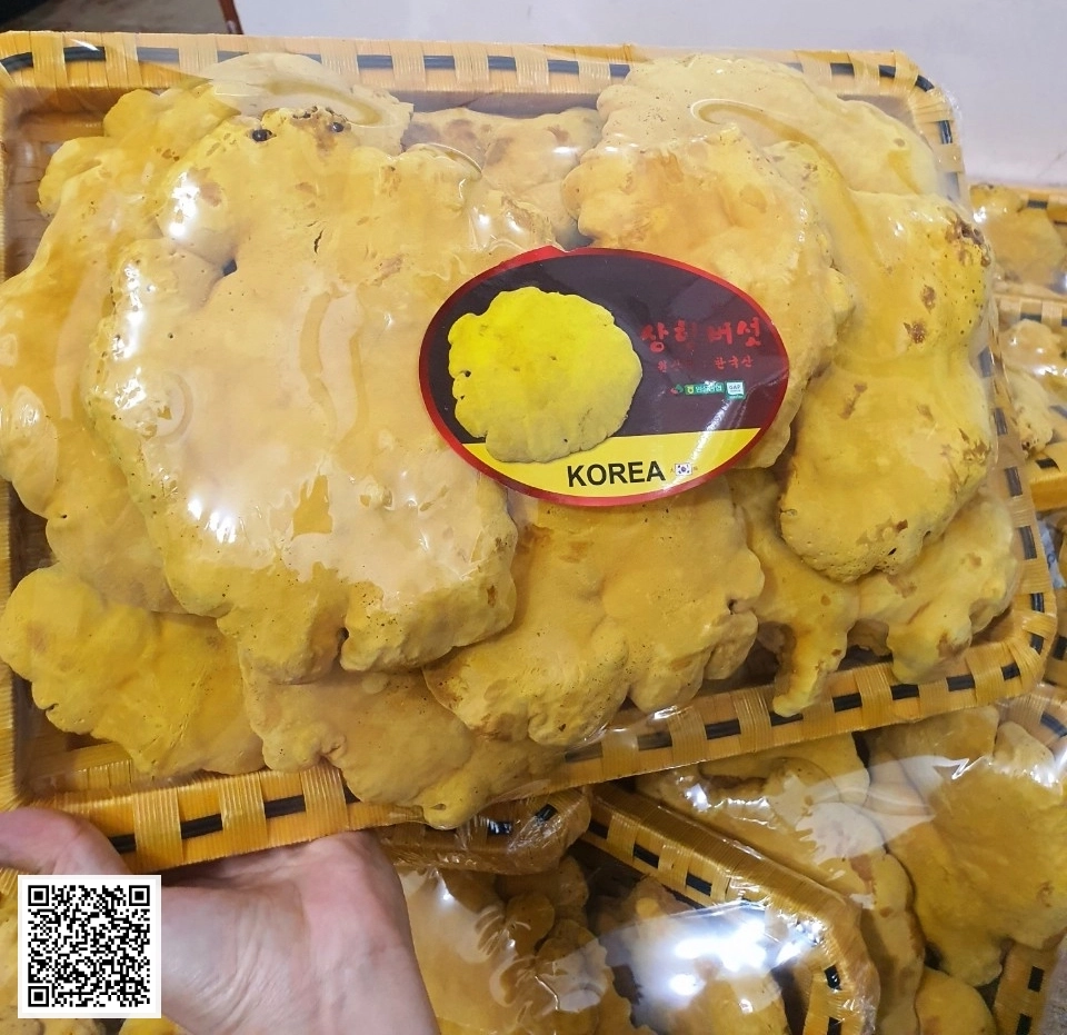 Nấm Thượng Hoàng Daedong Hàng Thượng Phẩm Hàn Quốc 0.5Kg