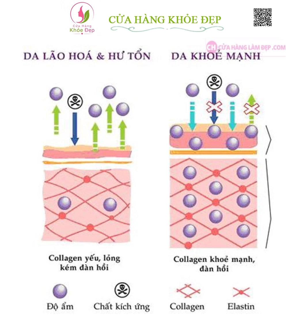 Collagen Youtheory Type 1 2 & 3 (290 Viên)