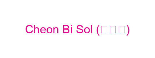 Cheon Bi Sol (천비솔)