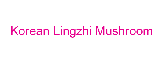 Korean Lingzhi Mushroom
