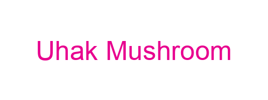 Uhak Mushroom